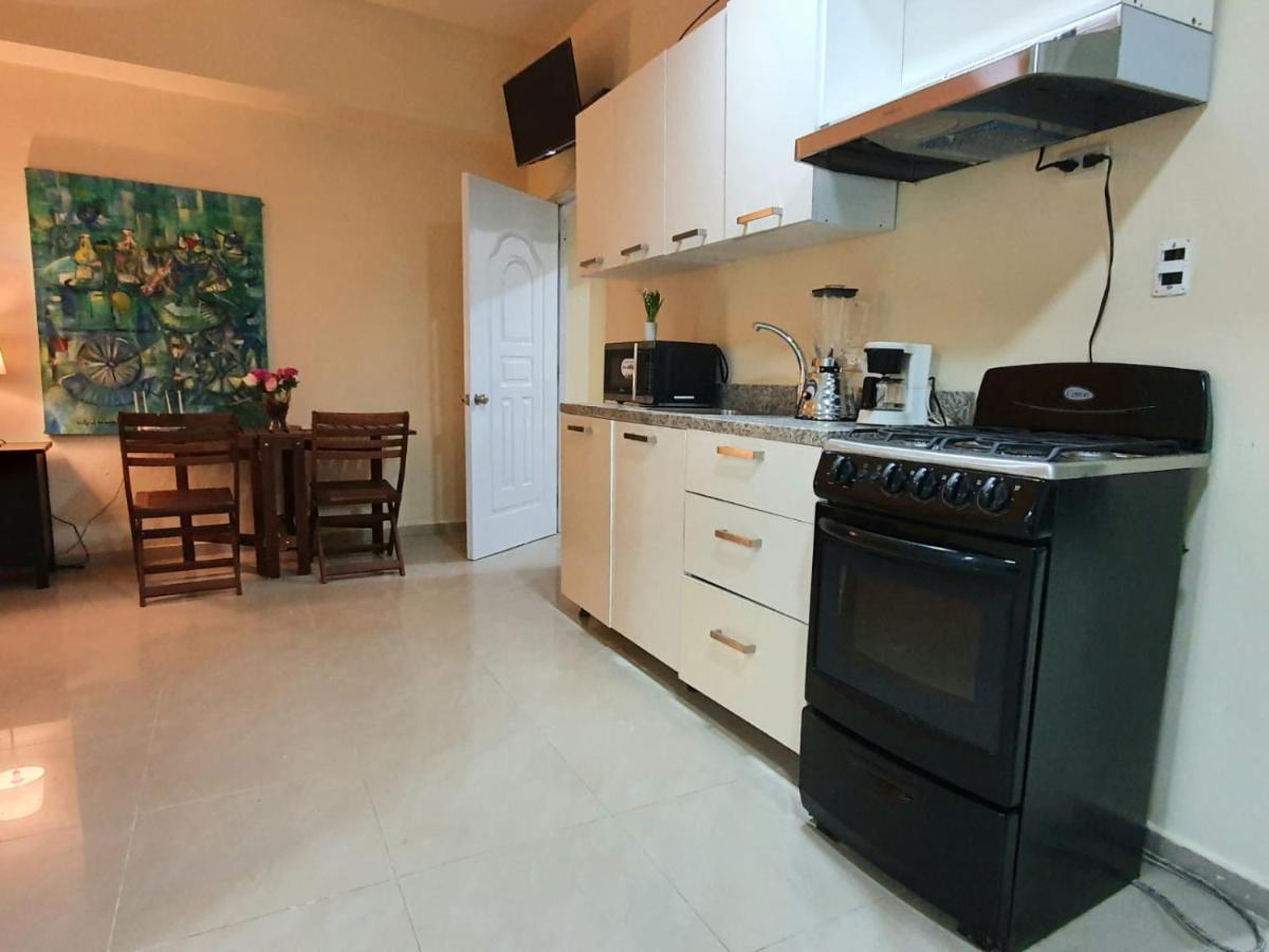 سانتو دومينجو Apartamentos Roman المظهر الخارجي الصورة